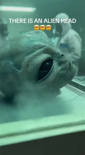 Unbelievable Footage of an Alien Head Revealed!