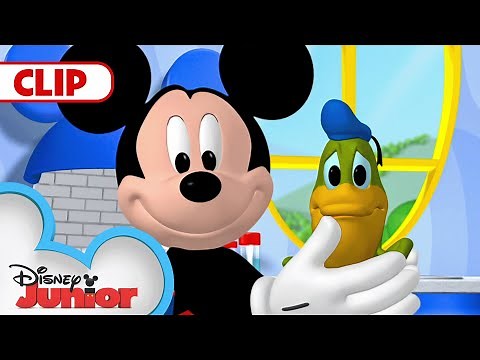 Donald Turns Into a Frog! 🐸 | Mickey Mouse Clubhouse | ‪@disneyjr‬​