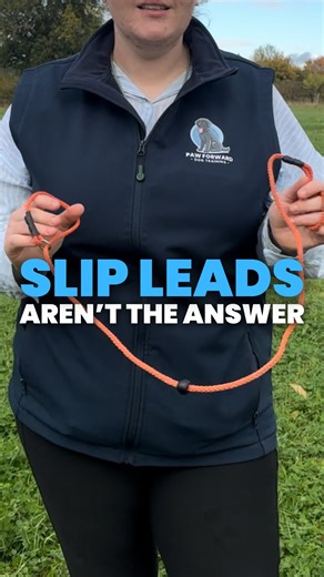 Slip leads seem to be growing a lot in popularity for loose lead training and to an extent, they ‘work’… but at what cost? The alternative isn’t only kinder and safer, it’s a lot more fun too😃 If you’ve been using a slip lead on your dog because you didn’t know better, that is OK! We’re all just on this planet doing what we think is best at the time we do it. Slip leads have their place but for a dog that pulls on lead, they’re not the one🩵 #rewardbaseddogtraining #forcefreedogtraining #positi