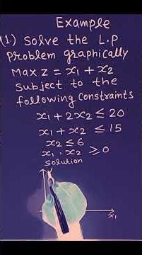 (3333) Linear programming