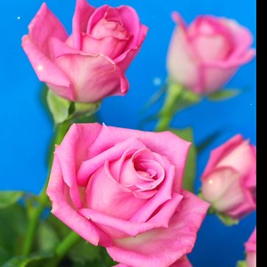 26K views · 507 reactions | Female Version of Unchained Melody #musicislife #musiclovers @topfans | GIE'S Vlog | Facebook