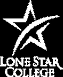 Computer Networking Specialization - Microsoft AAS Degree