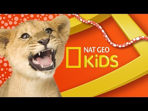 Welcome to the National Geographic Kids Channel!