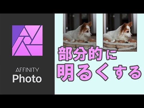 Affinity Photoの使い方「基礎編」 部分的に明るくする