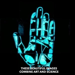 17K views · 240 reactions | Simply stunning AND educational! | Science Channel | Facebook