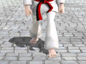 Beginner Taekwondo Techniques That You Can Learn at Home