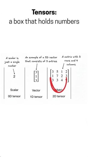 Learning PyTorch - What are tensors?