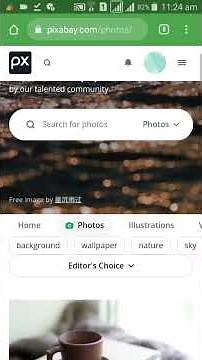 How to download copyright free images from pixabay