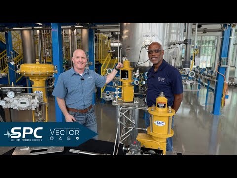 Vector Valve Series: Sullivan Process Controls