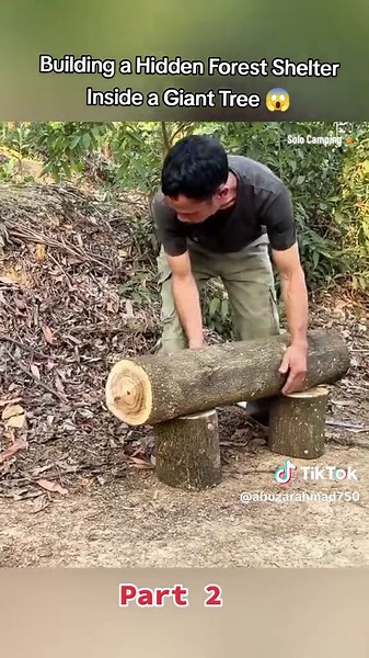 Construyendo un Refugio Oculto en un Árbol Gigante