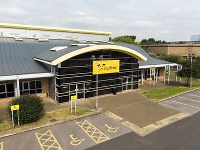 Dog Rescue, Rehoming & Adoption Manchester | Dogs Trust