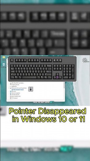 Get Your POINTER Back in Windows 10 or 11!