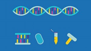 Choose the Right DNA Polymerase for Your PCR