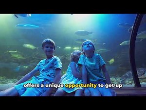 Port Angeles Washington: Top 10 Must Do's