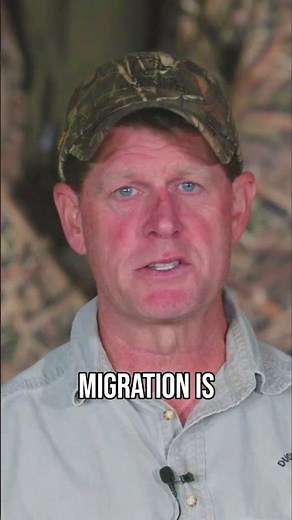 Why Prince Edward Island is Important for Canadian Geese