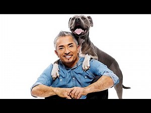 3 Essential Dog Training Tips from Cesar Millan