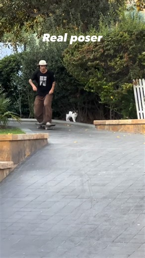 This Skater Is a Poser @theskatenomad_ | Mike Boisvert