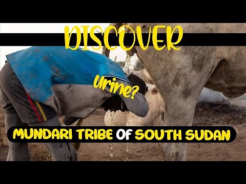 This tribe showers with cow urine: The Mundari Tribe of South Sudan