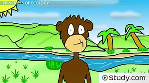 Levels of Ecology | Overview & Examples