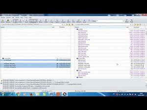 Beyond Compare Tutorial