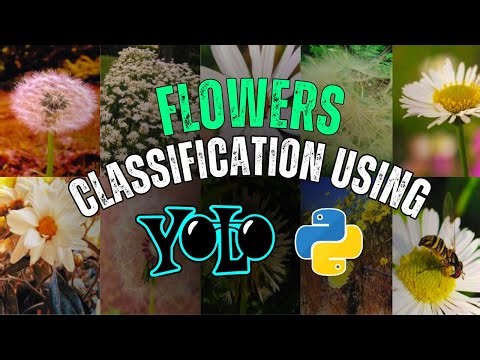 Train Custom Flowers Classification Model using YOLOv8 | Complete Deep Learning Tutorial