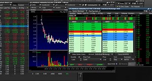 Level 2 Guide: What It Is and How to Read It