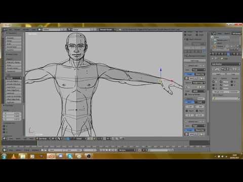 Blender: How to make a simple human model.