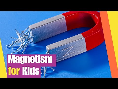 Magnetism for Kids | Learn All About Magnets | Science Lesson for Kids