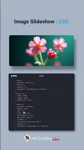 Amazing 🤩 Images Slideshow Using html CSS #shorts #explore #shortfeed #programming