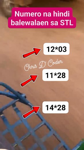 Pwedeng Alagaan sa may gusto nito. #chrisdcoder #STLVISAYAS #STLMindanao #stl Disclaimer Content for Entertainment purposes only and guide only. | Chris D Coder