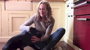 How to cope with a naughty Labrador