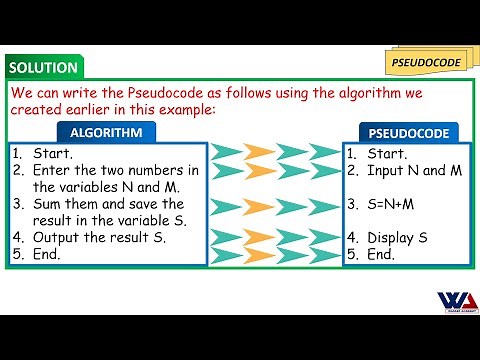 Basics of Algorithm and Pseudocode and the differences between them.