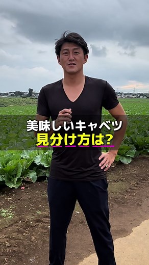 Understanding Cabbage Farming with a Japanese Farmer