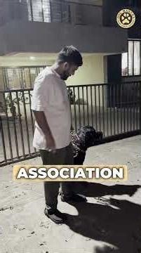 AGGRESSIVE Rottweilers Not One But TWO!😱