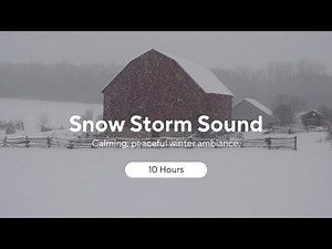 Winter Snow Storm Sounds for Sleeping (Snowstorm Sound) 10 Hours