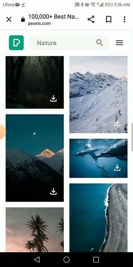 How to download free of cost videos and photos from Pexels. com