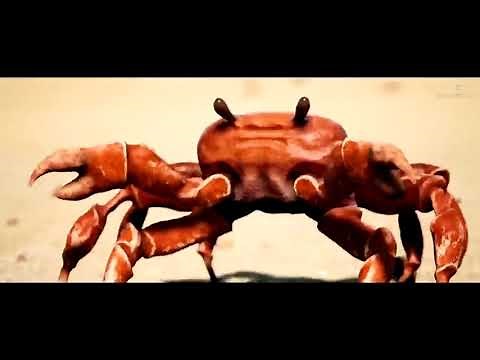 Crab Rave 10 Hours