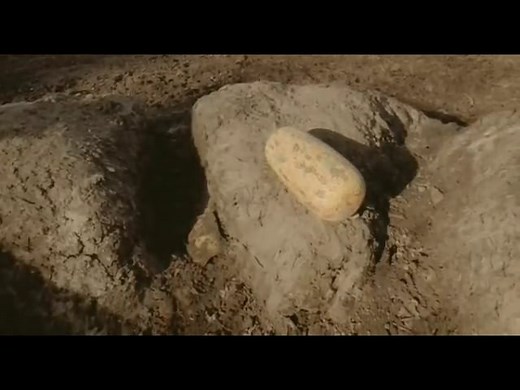 Disney's Dinosaur May 19, 2000