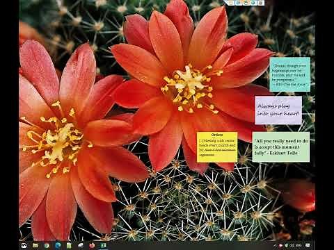 Windows: Attach sticky notes to Microsoft Excel sheet in Windows using Notezilla