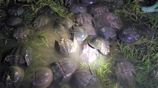 Delaware Seashore State Park on Reels