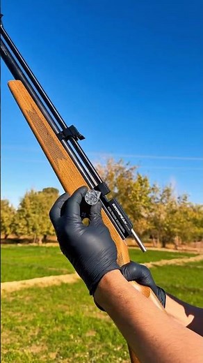 PR900 Gen2 .22 Precision Shot #airgun #airrifleshooting