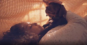 The Farmer’s Dog pulls at heart strings in Super Bowl ad