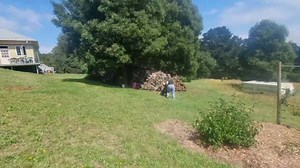 3K views · 33 reactions | - Snake Scent Detection Reaction - Whilst...