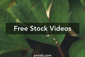 120fps Videos, Download The BEST Free 4k Stock Video Footage & 120fps HD Video Clips