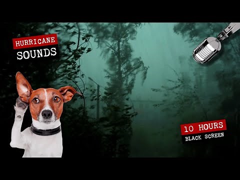 Hurricane wind with heavy rain, thunder and lightning sounds for 10 hours