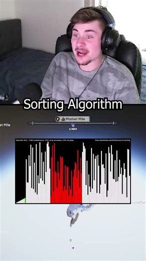 Audio Sorting Algorithm #skate #gaming #funny