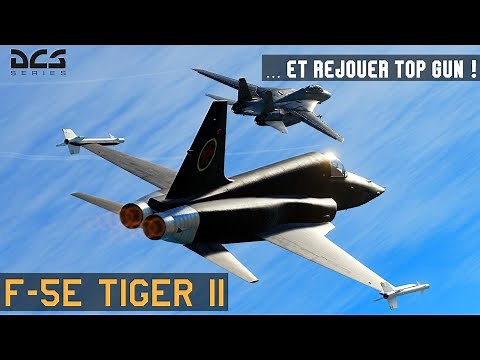 F-5 Tiger II - Le meilleur jet pour débuter DCS ?