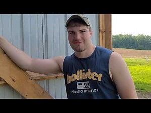 Raising Ringneck Pheasants