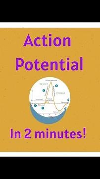 Action Potential in 2 minutes!