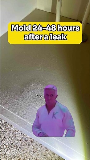 How Long Does it Take For Mold to Grow?